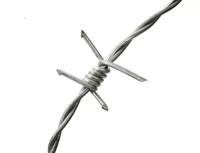 Barbed Wire thumbnail 4