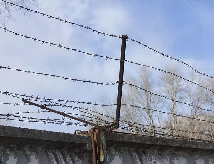 Barbed Wire thumbnail 6