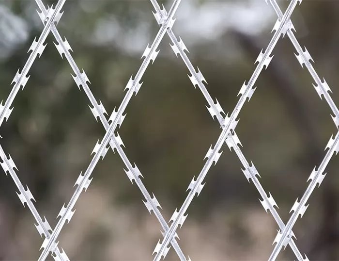 Concertina Wire thumbnail 6